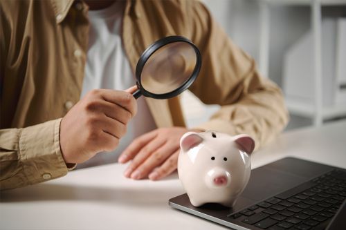 Foto: Person mit Lupe und Sparschwein